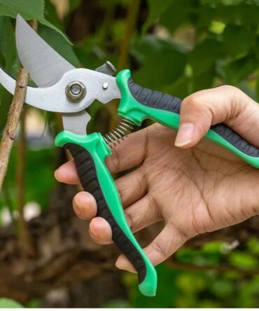 Stainless Steel Professional Gardening Shears Pruning branches Fruit trees Flowers Household Pruning Tools Shears