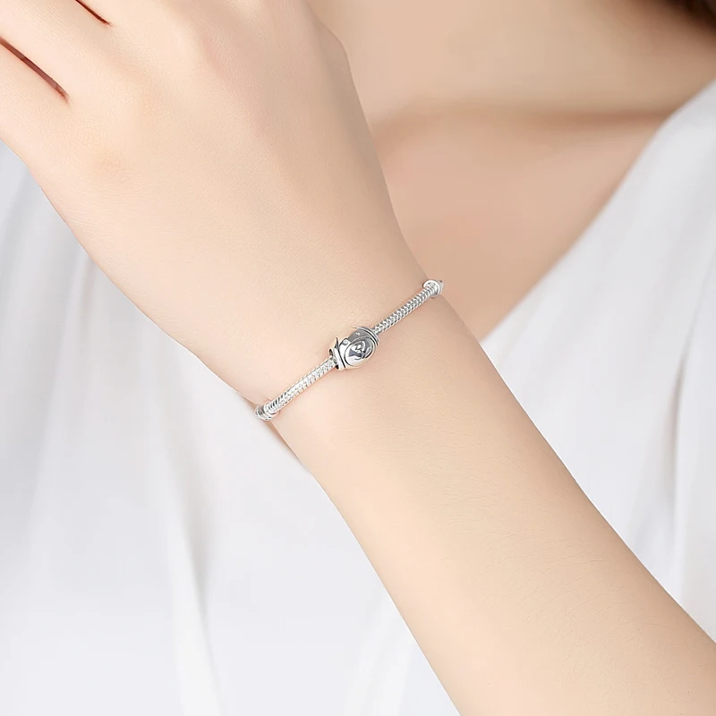 Original 925 Sterling Silver Charms Love Pets Dog Cat Paw Print Pendant Beads Fit Brand Bracelets Necklaces Women DIY Jewelry - Image 6