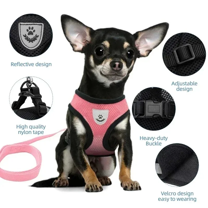 Adjustable Polyester Dog Harness Vest with Leash for Small to Medium Pets Cat Walking Collar with Mesh Material for Puppy Dogs - Image 3