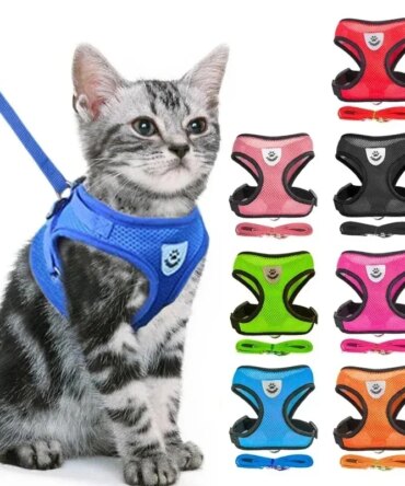 Adjustable Polyester Dog Harness Vest with Leash for Small to Medium Pets Cat Walking Collar with Mesh Material for Puppy Dogs