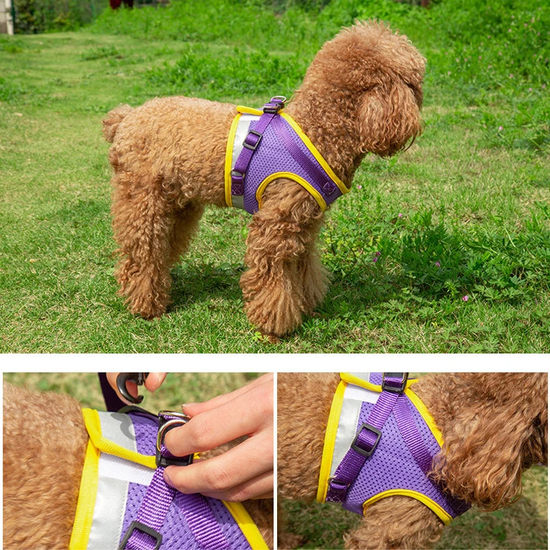 Dog Harness Vest Set for Small Medium Dog Harness Leash Puppy Cat Vest Harness Puppy Pet Kitten Leads Reflective Cats Collar - Image 6
