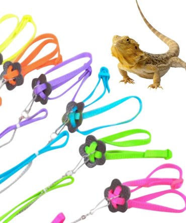 Anti-Bite Harness Leash Adjustable Reptile Lizard Harness Leash Training Walking Rope Pet Leash Pet Collar Chest Strap Lizard