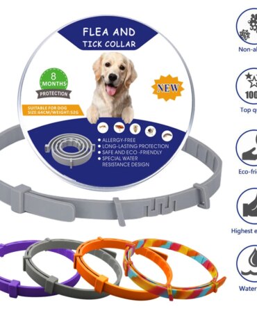 Waterproof 8 Month Protection Adjustable Cats Flea And Tick Collar Dogs Collar Insect Prevention