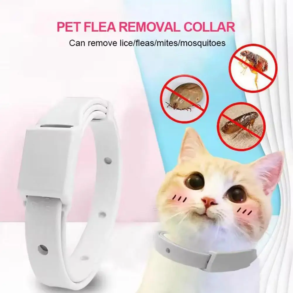Cat Dog Collars Adjustable PVC Pet Collar Adjustable Outdoor Insecticidal Mosquitoes Neck Strap Pet Suppies Anti Flea Mite Tick