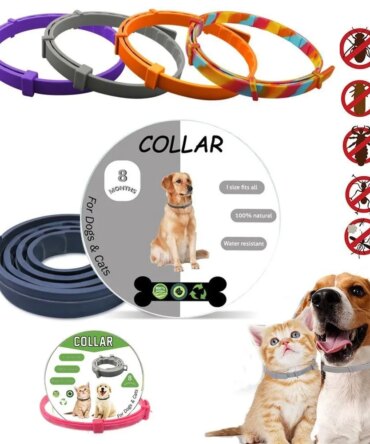 Professional 8 Month Protection Flea & Tick Collar Silicone Anti-mosquito Cat Universal Adjustable Dog Collar Teddy