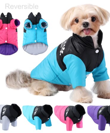Warm Dog Clothes in Winter for Small Medium Cat Dogs Reversible Waterproof Pets Outfits Solid Puppy Sphynx Chihuahua Pug Apparel