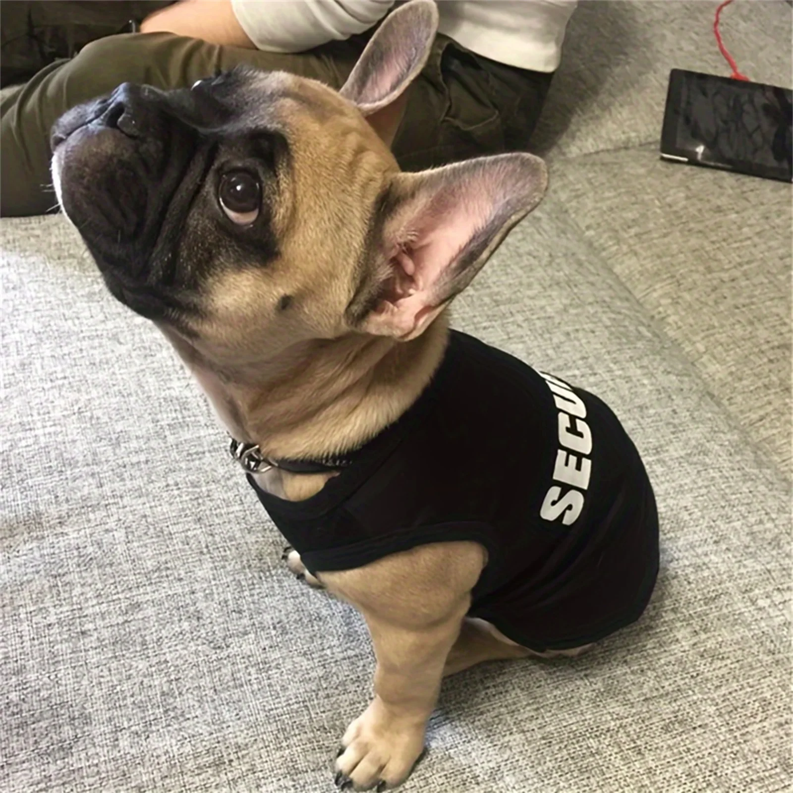 Security Clothing for Dogs Summer Pet Clothes Vest for Small Dogs Chihuahua Yorkshire Puppy Cats Low Price Pets T-shirt Costume - Image 6