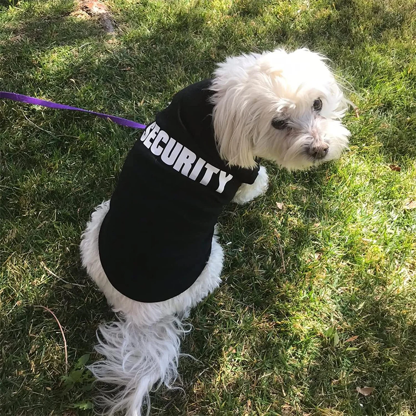 Security Clothing for Dogs Summer Pet Clothes Vest for Small Dogs Chihuahua Yorkshire Puppy Cats Low Price Pets T-shirt Costume - Image 3