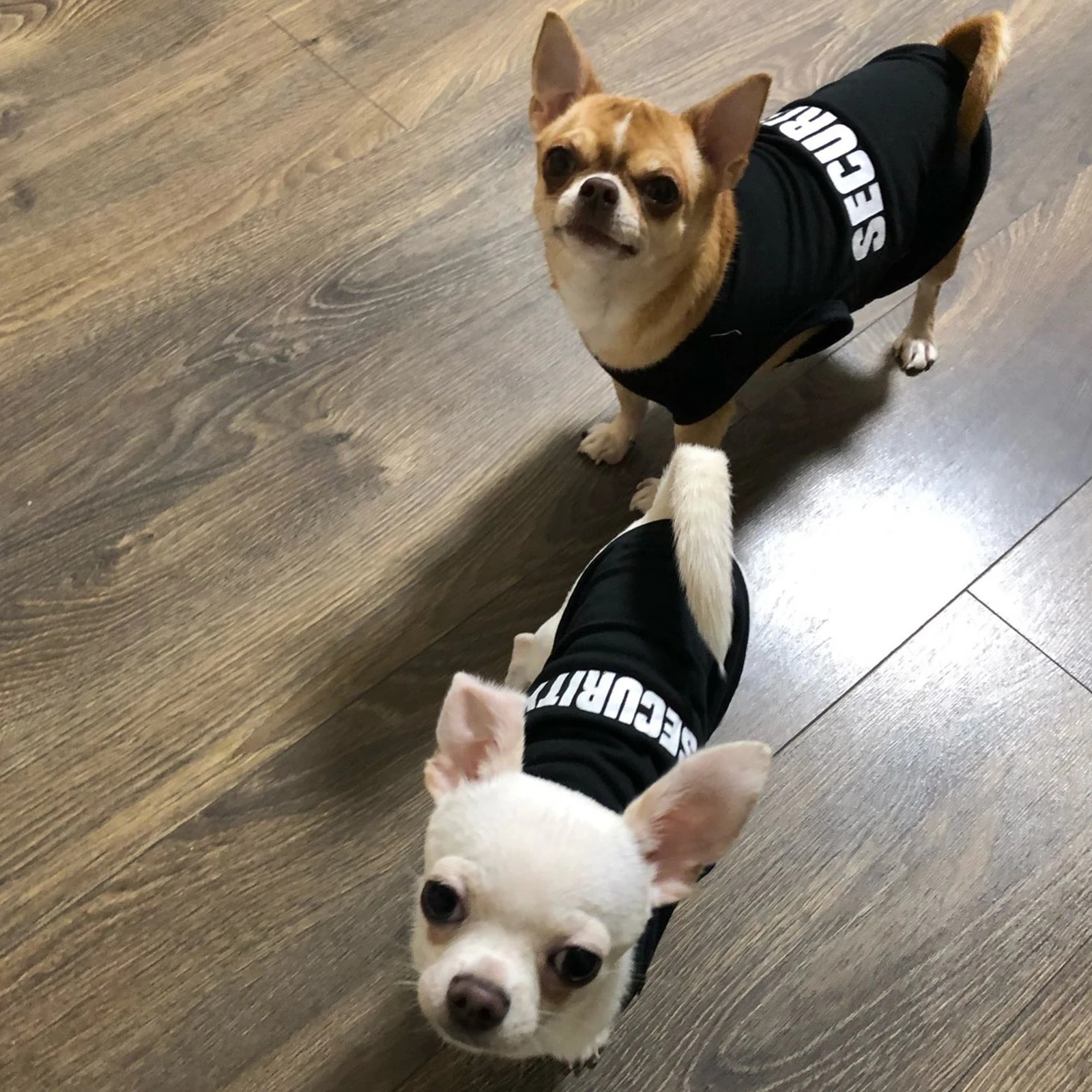 Security Clothing for Dogs Summer Pet Clothes Vest for Small Dogs Chihuahua Yorkshire Puppy Cats Low Price Pets T-shirt Costume - Image 5