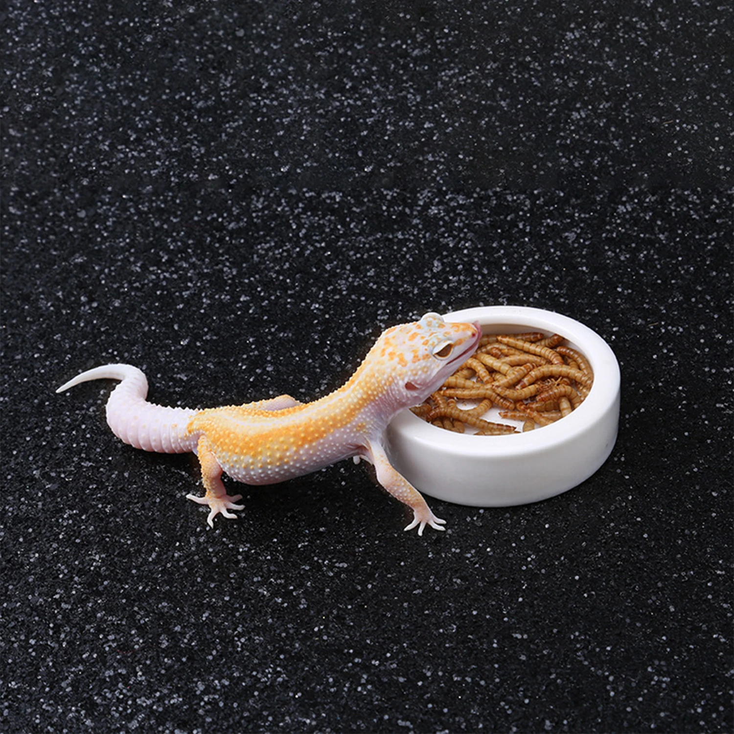 Reptile Food Bowl Feeding and Watering Bowl Anti-Escape Ceramic Feeding and Watering Bowl Anti-Escape Super Worm Feeder - Image 2
