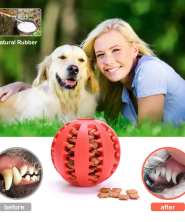 Dog Toy Ball Interactive Rubber Balls Puppy Chewing Toys Pet Tooth Cleaning Ball Cats Pets Food Treat Feeder Silicone Balls Toy