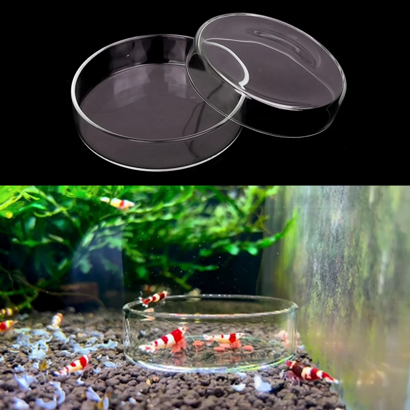Shrimp Feeding Dish High Transparent Glass Feeding Dish Fish for Tank Clear Feeder Bowl Aquarium Fish Tank Reptiles Feeder - Image 4