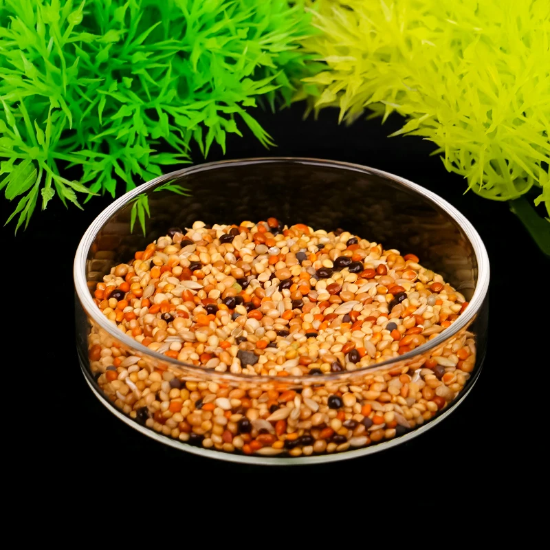 Shrimp Feeding Dish High Transparent Glass Feeding Dish Fish for Tank Clear Feeder Bowl Aquarium Fish Tank Reptiles Feeder - Image 5