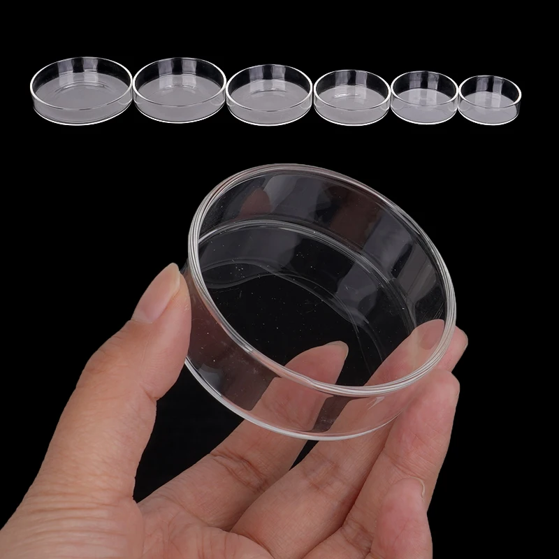 Shrimp Feeding Dish High Transparent Glass Feeding Dish Fish for Tank Clear Feeder Bowl Aquarium Fish Tank Reptiles Feeder - Image 3